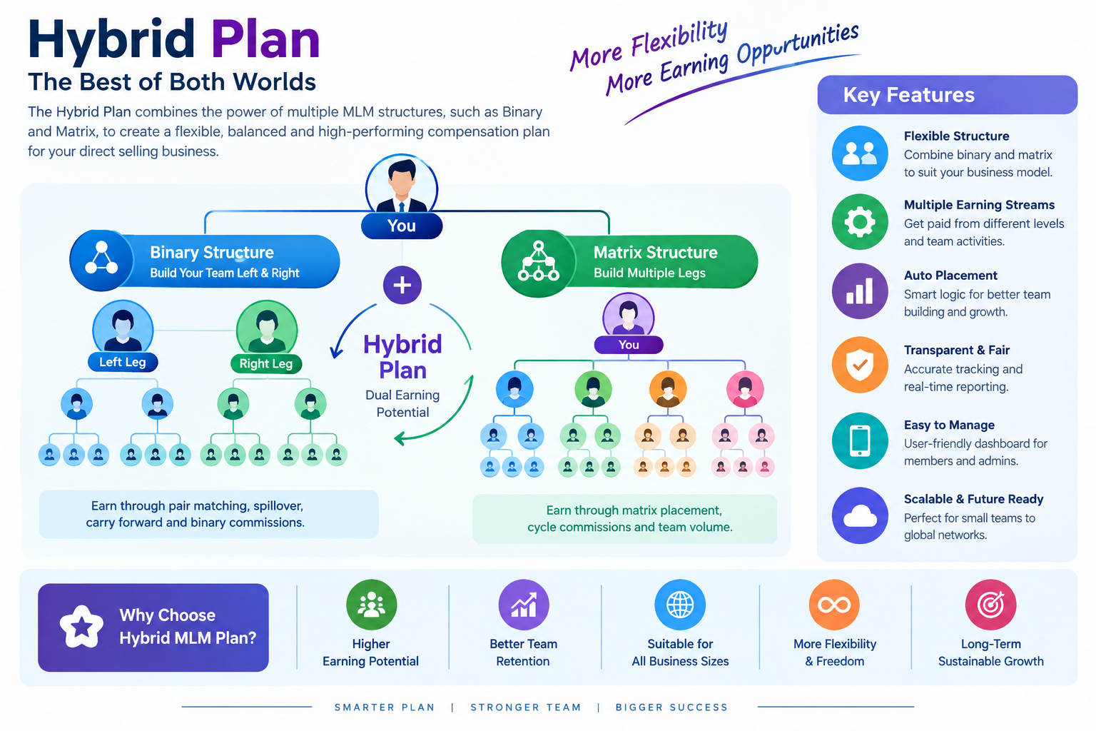 Hybrid Plan Software